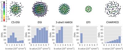 Compressed Sensing Diffusion Spectrum Imaging for Accelerated Diffusion Microstructure MRI in Long-Term Population Imaging